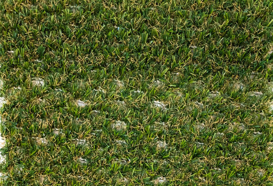 County Hybrid 32 Grass