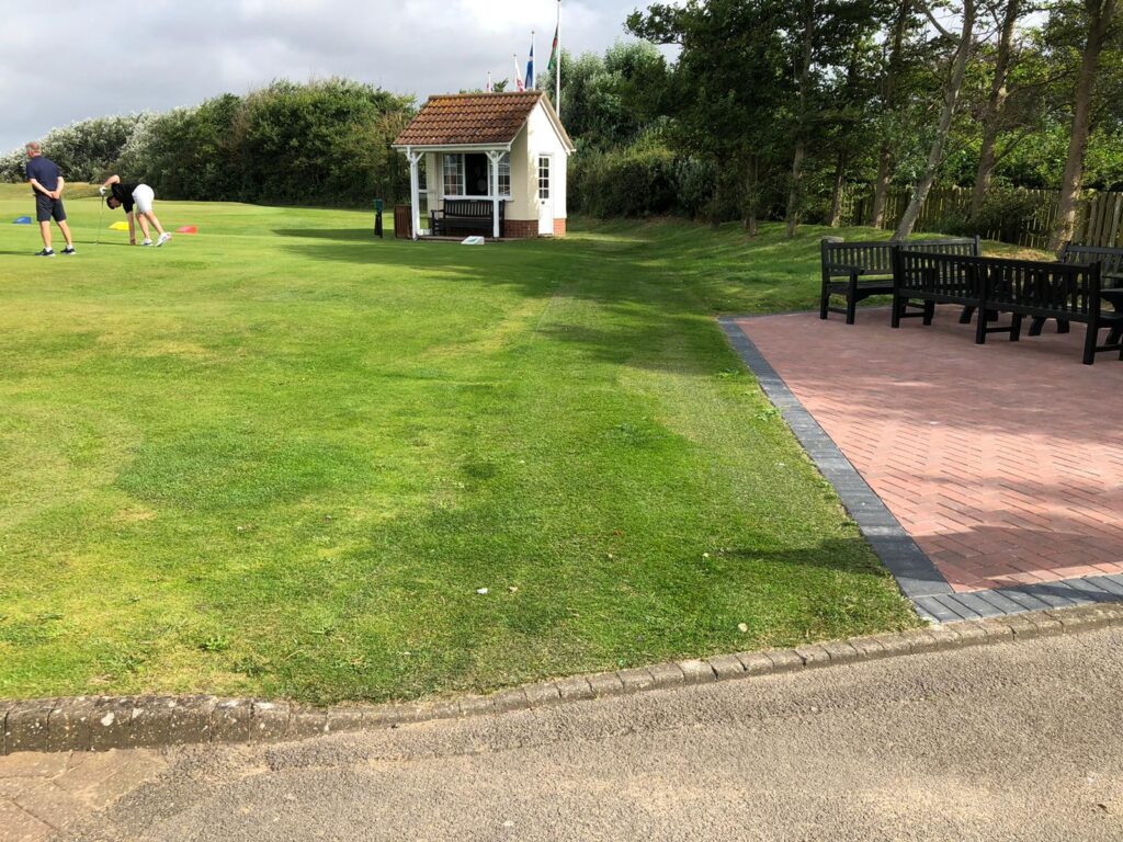 County Hybrid 32 Grass